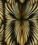 Foil Wallpaper by Roberto Cavalli - Image 5
