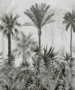 Tropical Palm Tree Wallpaper by Marshalls - Image 3