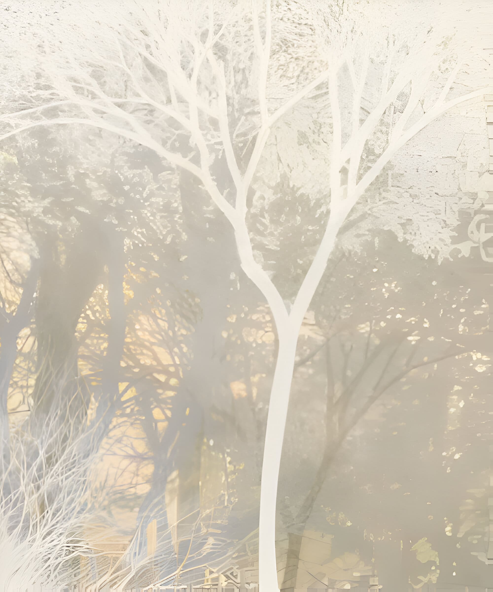 Wallpaper Store Gurgaon