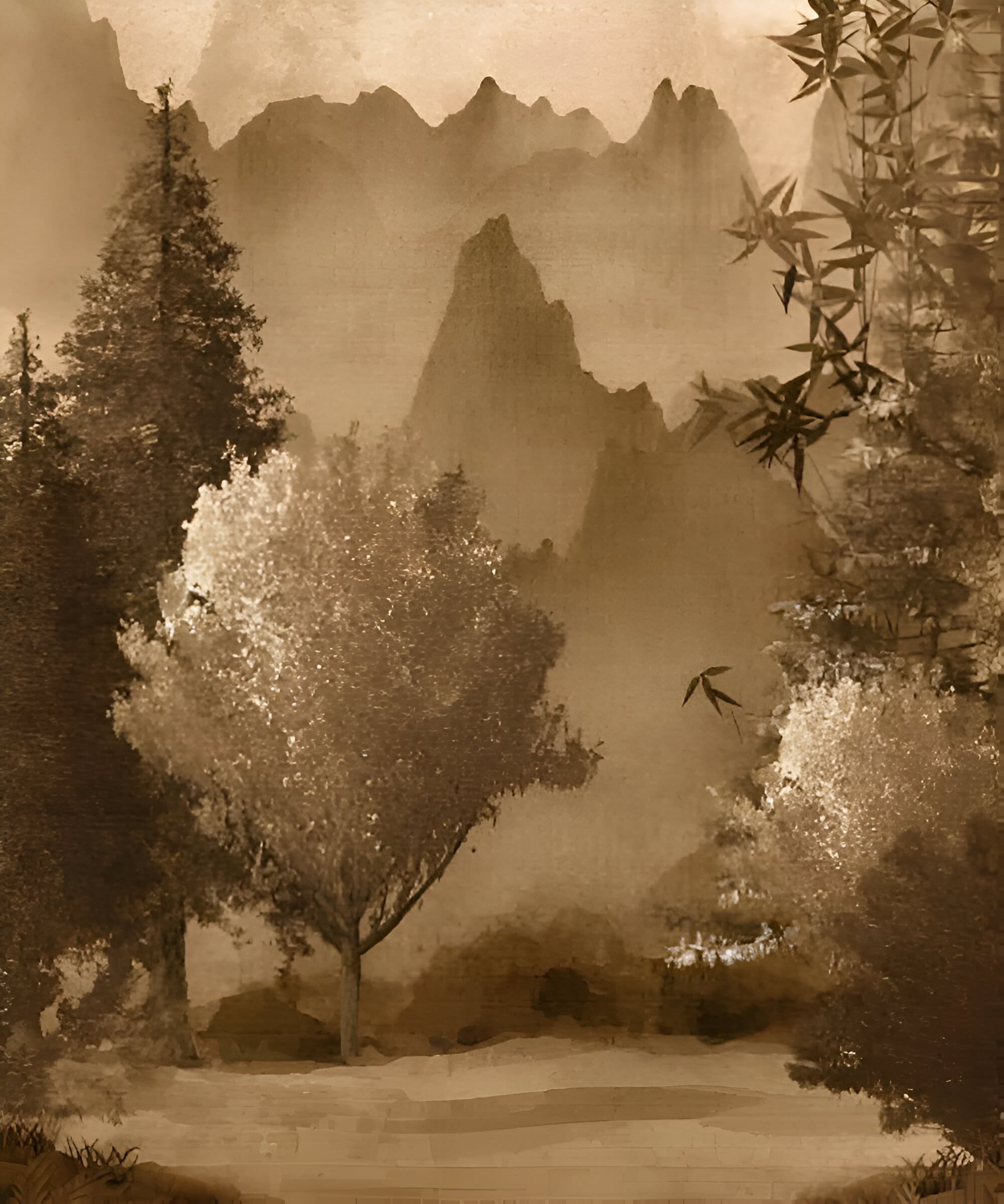 Wallpaper Shop Gurgaon